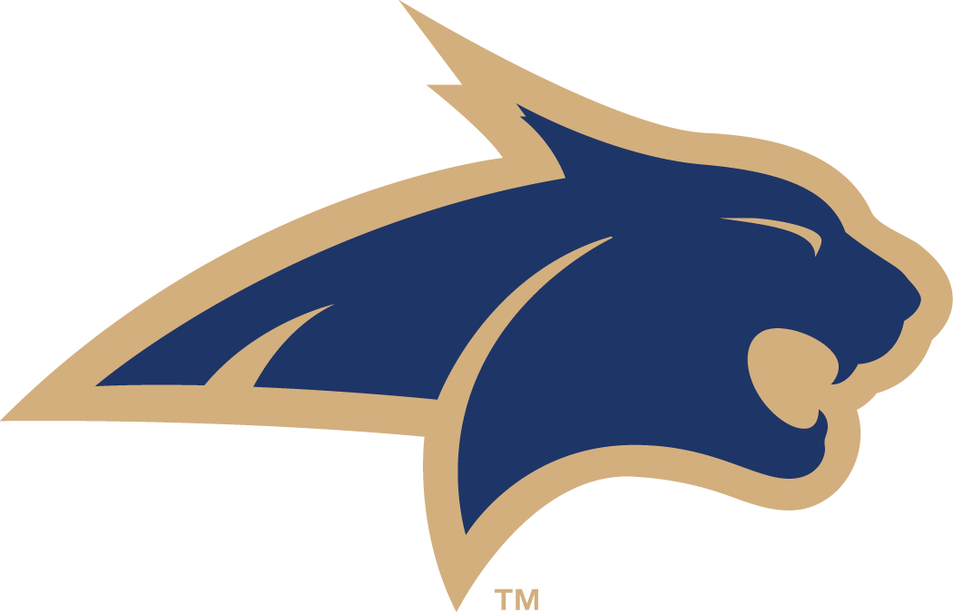 Montana State Bobcats 2004-2012 Alternate Logo 01 iron on paper